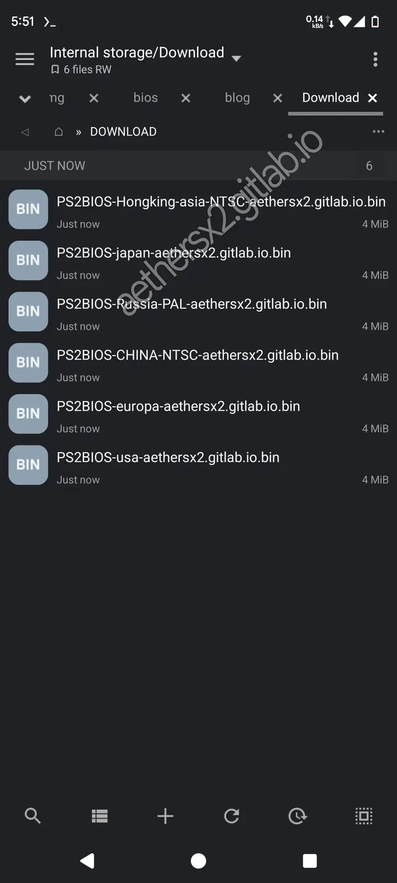 BIOS files in the download folder.